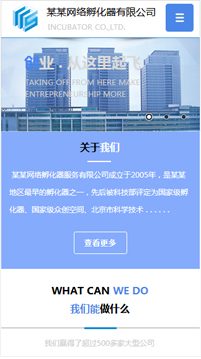 商業(yè)行業(yè)手機(jī)模板網(wǎng)站