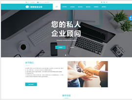商業(yè)行業(yè)彩色模板網(wǎng)站