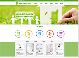 商業(yè)行業(yè)彩色模板網(wǎng)站