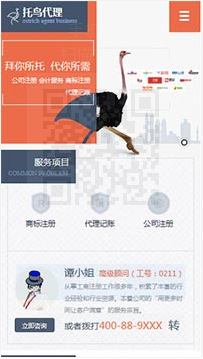 商業(yè)行業(yè)手機(jī)模板網(wǎng)站