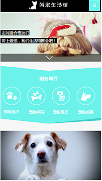 寵物行業手機模板網站