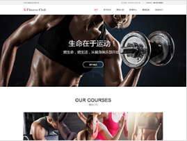 運動行業彩色模板網站