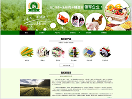 農業行業彩色模板網站