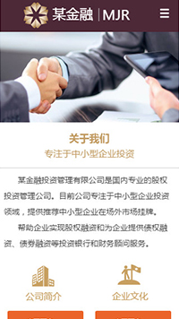 金融、投資行業(yè)手機模板網(wǎng)站