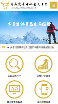 金融、投資行業(yè)手機模板網(wǎng)站