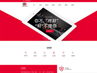 金融、投資行業(yè)彩色模板網(wǎng)站