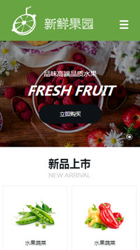 食品行業手機模板網站