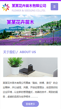 鮮花行業(yè)手機(jī)模板網(wǎng)站