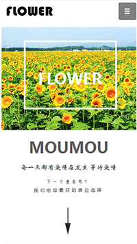 鮮花行業手機模板網站
