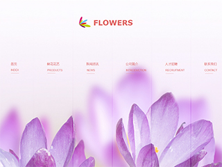 鮮花行業彩色模板網站