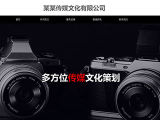  傳媒、廣電行業彩色模板網站