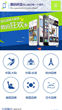  IT科技、軟件行業(yè)手機(jī)模板網(wǎng)站