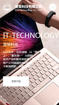  IT科技、軟件行業手機模板網站