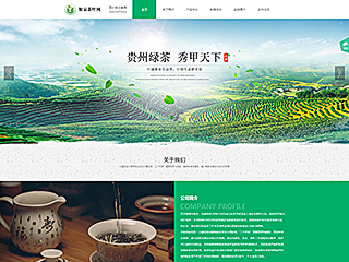 茶葉行業(yè)彩色模板網(wǎng)站