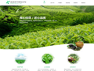 茶葉行業(yè)彩色模板網(wǎng)站