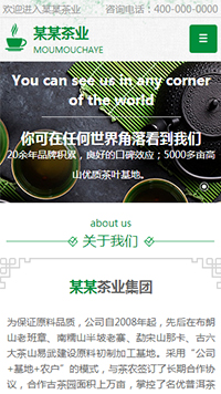 鞋帽行業手機模板網站