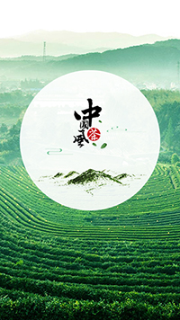 茶葉行業手機模板網站