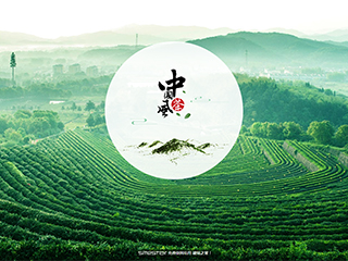 茶葉行業彩色模板網站