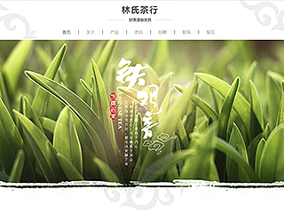 茶葉行業彩色模板網站
