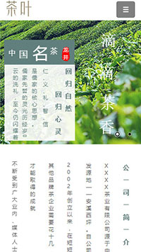  鞋帽行業手機模板網站