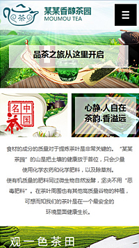  鞋帽行業手機模板網站