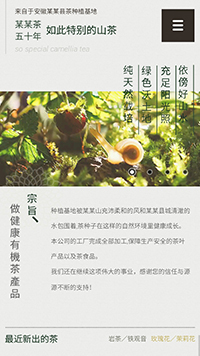 茶葉行業手機模板網站