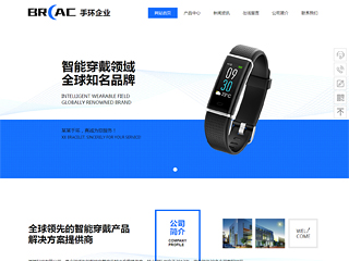 鐘表行業彩色模板網站