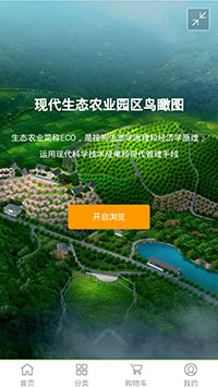 網(wǎng)店行業(yè)手機(jī)模板網(wǎng)站