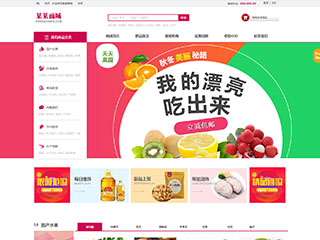 網(wǎng)店行業(yè)彩色模板網(wǎng)站