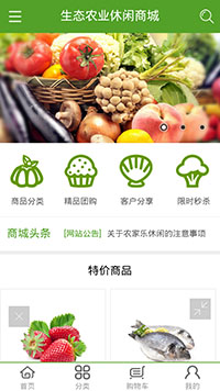 網(wǎng)店行業(yè)手機(jī)模板網(wǎng)站