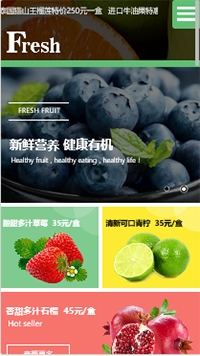 網店行業手機模板網站