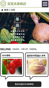 網(wǎng)店行業(yè)手機模板網(wǎng)站