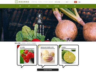 網(wǎng)店行業(yè)彩色模板網(wǎng)站