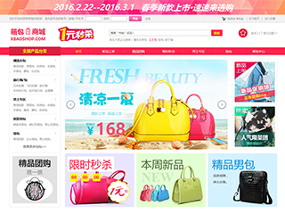 網(wǎng)店行業(yè)彩色模板網(wǎng)站