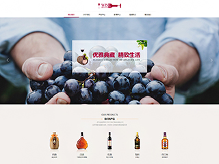 汽車服務(wù)行業(yè)彩色模板網(wǎng)站