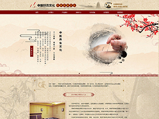 文化行業彩色模板網站