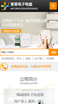 電子、電氣行業手機模板網站