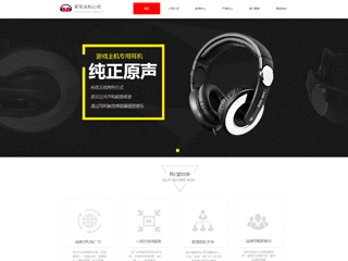 電子、電氣行業彩色模板網站